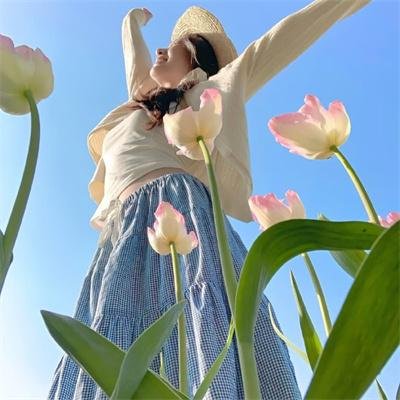 黑帮掌门人